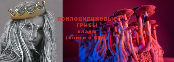 МДПВ Сатка