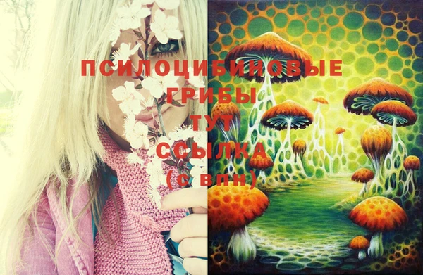 бошки Рославль