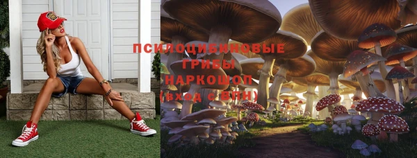 МДПВ Сатка