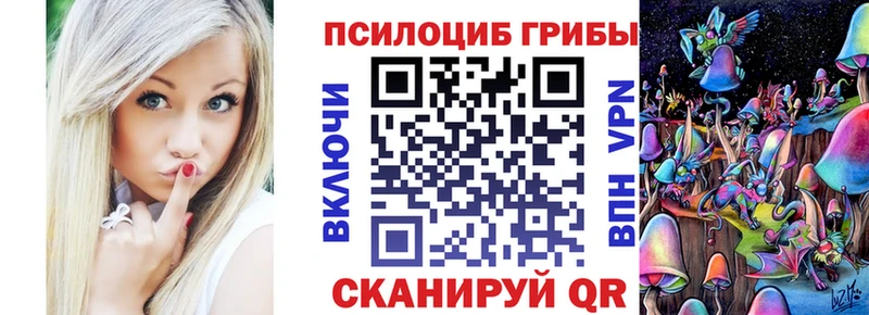 наркошоп  Свирск  Псилоцибиновые грибы GOLDEN TEACHER 